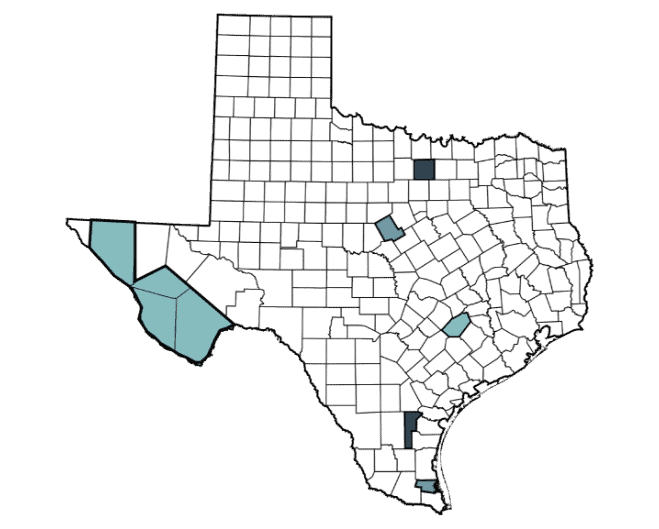 County map of Texas with 9 counties highlighted showing DRIP partner communities.